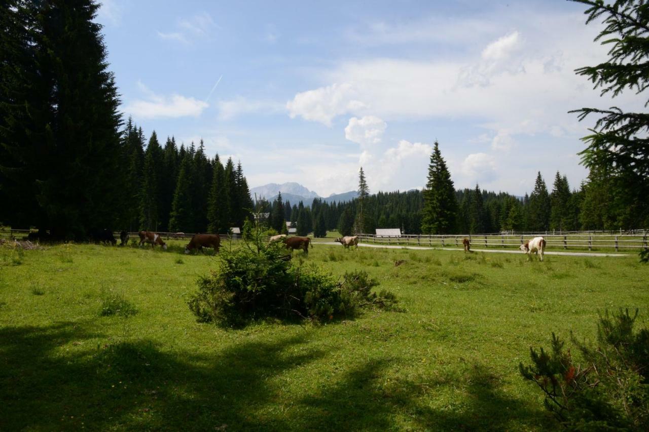 ゴレンスカ地方 Pocitniska Hisa Jurcek Pokljukaヴィラ エクステリア 写真